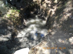 Source à Thomazeau Source à Thomazeau